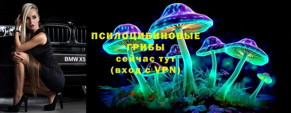 тгк Нязепетровск