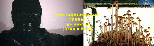 МДПВ Новокубанск
