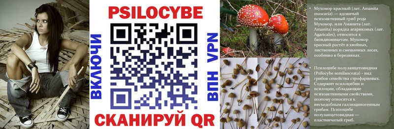 Псилоцибиновые грибы мицелий Купить где Карпинск